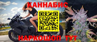 амф Бийск